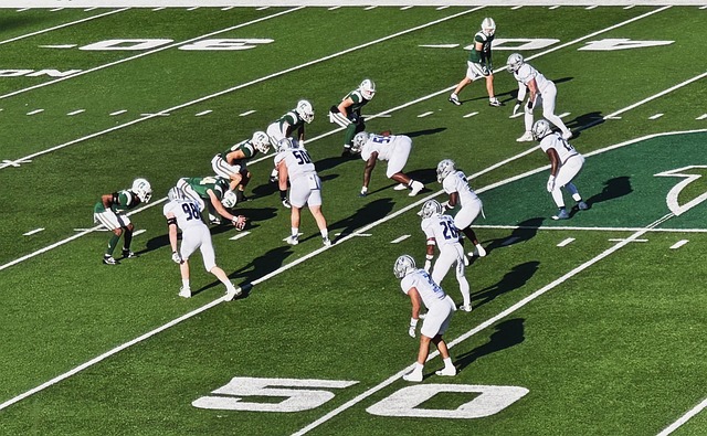 心理素质的 心理素质的