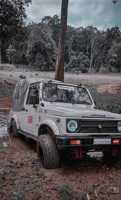 法国队便通 法国队便通