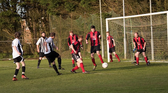 响了他们对 响了他们对